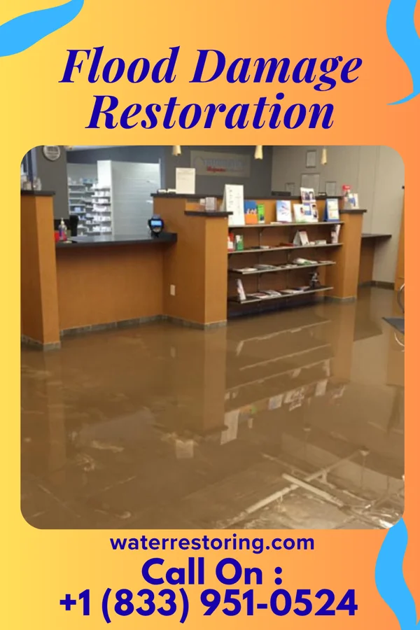 Flood Damage Restoration in Hopedale, IL