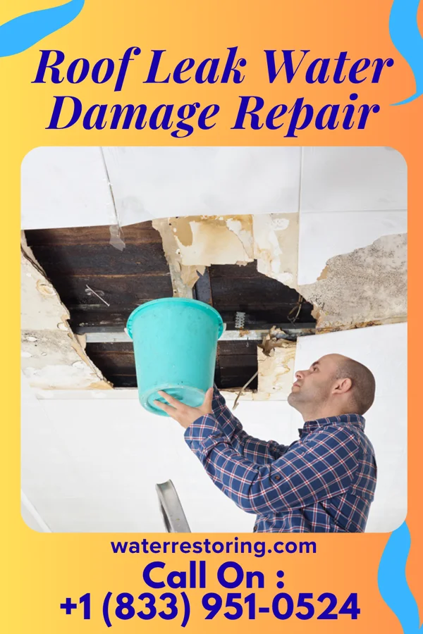 Roof Leak Water Damage Repair in Hopedale, IL