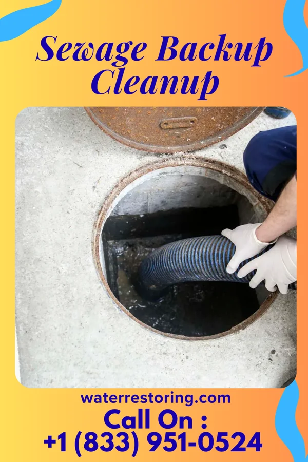 Sewage Backup Cleanup in Hopedale, IL